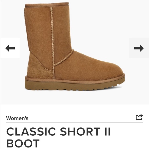Classic short Uggs NWOT - Picture 6 of 7